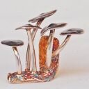 Mushroom Jewelry